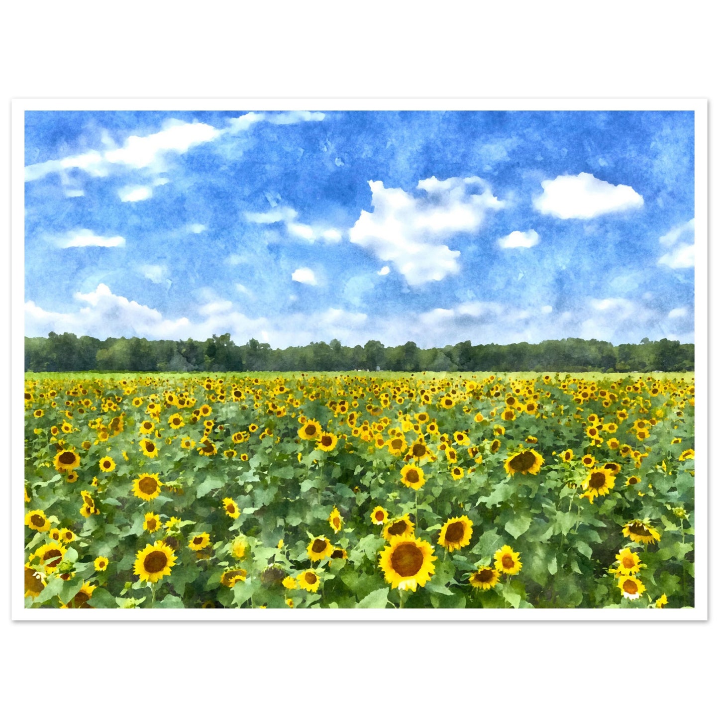 b1869b1d-d787-484d-a53c-68bf77420c48