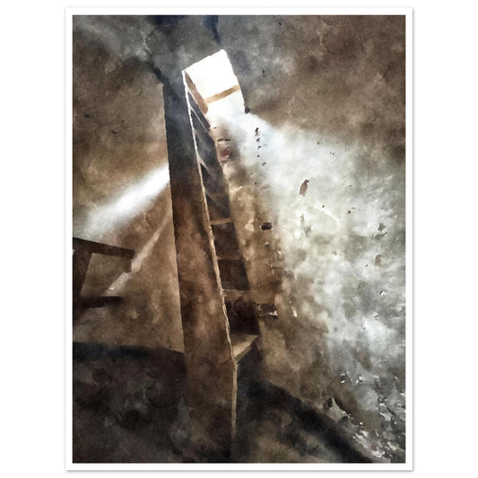 dd8a069e-9596-4b10-a7c9-c244f1453019